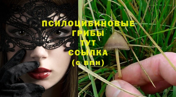 метадон Нягань