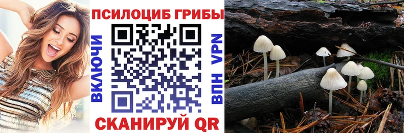 Псилоцибиновые грибы Cubensis  Катав-Ивановск 